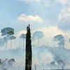 At 88 Meters, The Tallest Tree In Amazon Is Still Safe From The Deadly ...