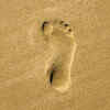 Scientists Find Oldest Human Footprint Dating Back Over 15,000 Years In ...