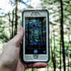 NASA Wants Your Help: Please Point Your Smartphone At Trees Near You ...