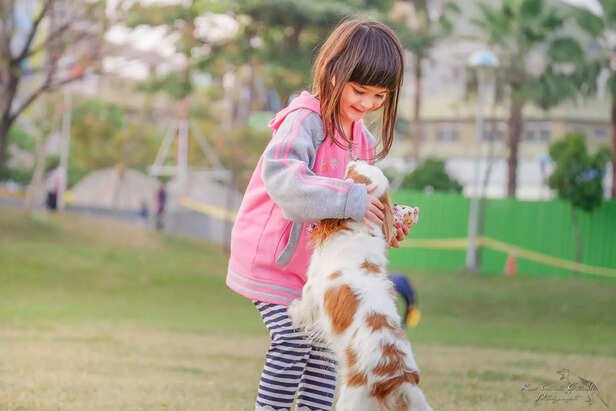 kid &amp; dog