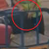 Passenger Films Baggage Handler Stealing A Pair Of Speakers From A ...