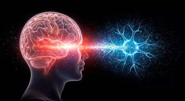 Diagram Showing the Vagus Nerve Pathway