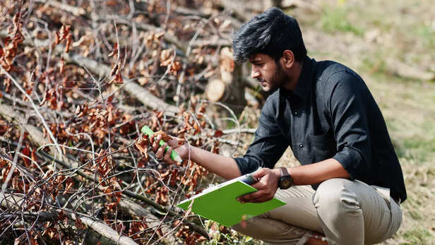 युवाओं को मिले सही रोजगार