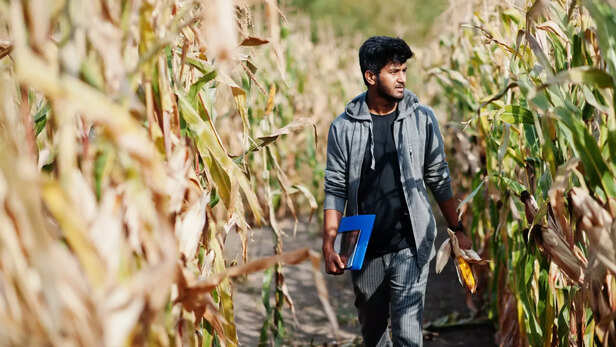 रोजगार आधारित हो शिक्षा