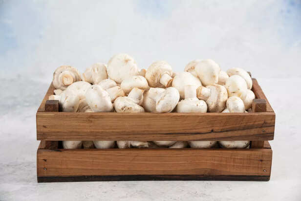 How Does Mushroom Improves Immunity