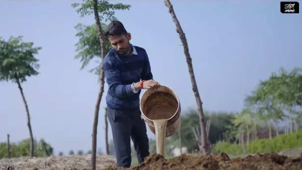 मिट्टी में पोषक तत्वों की जरूरत पूरी रखें।