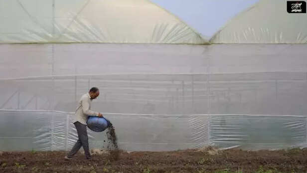 मिट्टी में जैविक खाद का इस्तेमाल।