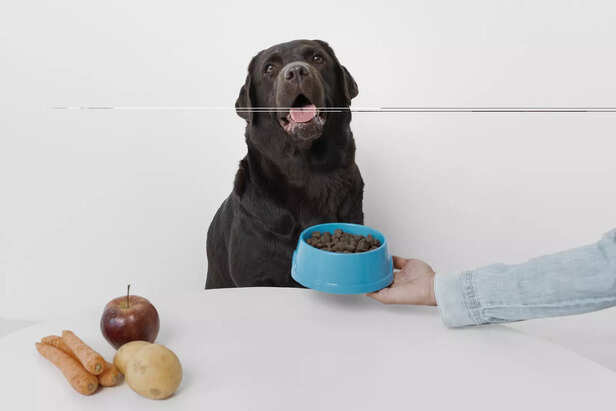 Health Benefits and Risks: Raw Diet