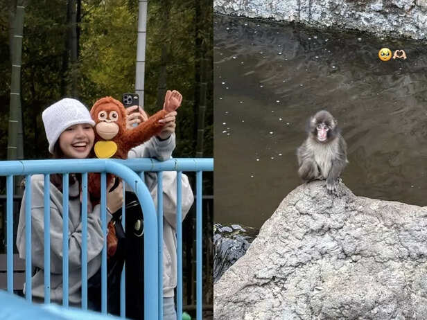 Lisa shares photos from her visit to viral monkey Punch