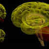 An Indian-Origin Scientist Is Part Of A Team That Has Developed 3D ...