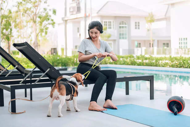 Indoor Fetch and Tug-of-War