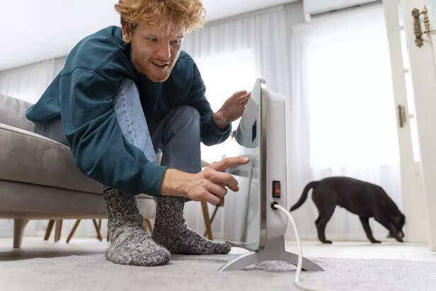 Litter Boxes and Cleaners