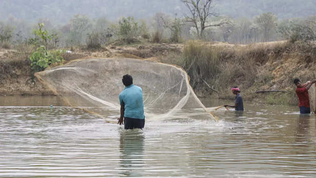 रिवर रेंचिंग और सी रेंचिंग जैसी गतिविधियों को भी मिला प्रोत्साहन