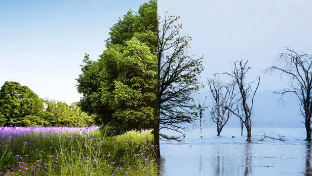 वैश्विक ताप वृद्धि का कहर