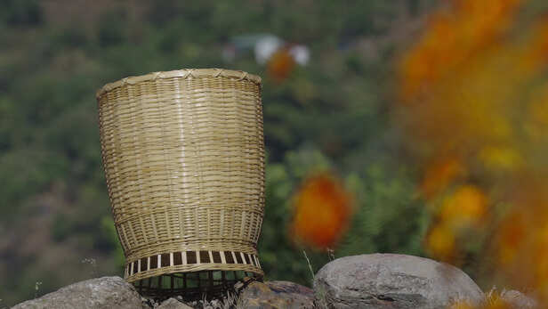 प्लास्टिक के दौर में रिंगाल अभी भी जिंदा