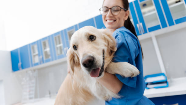 Your Pet’s Health Isn’t Luck: Why Regular Check-Ups and Vaccinations Matter