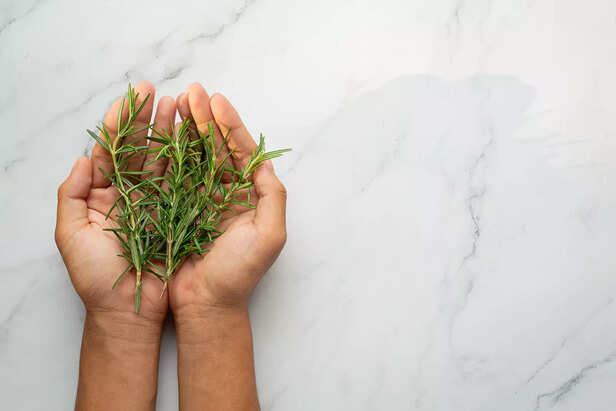 Rosemary That Support Hair Health