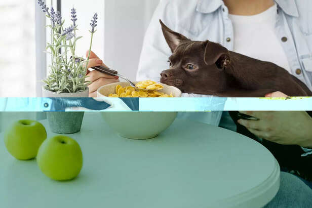 Fiber for Healthy Digestion