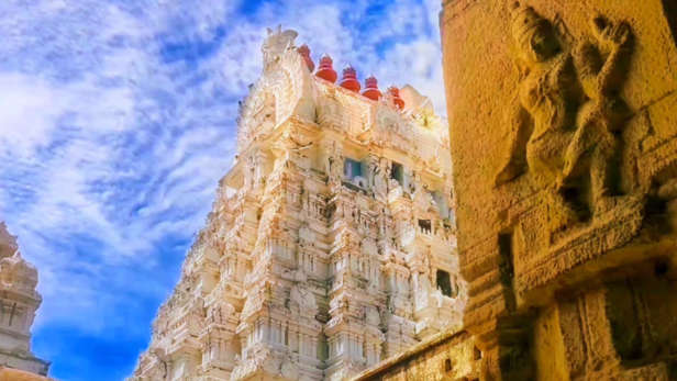 Intricate Carvings at Varadaraja Perumal Temple | Instagram - @ landscapepixels