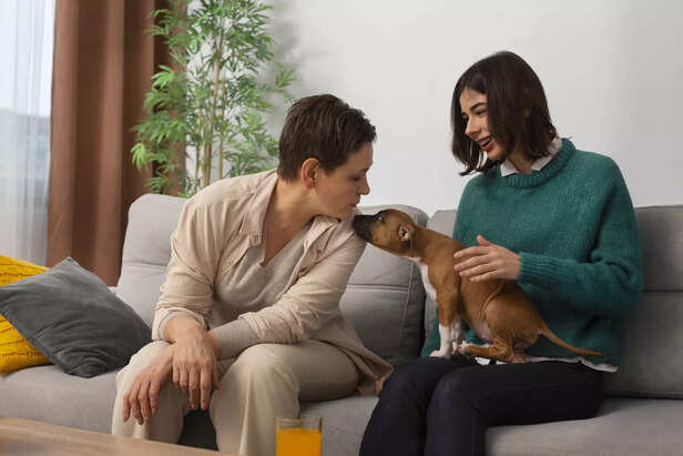 pet and couple