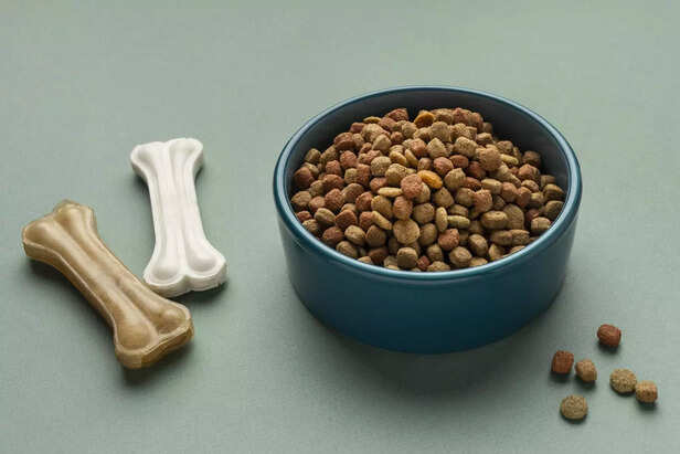 domestic pet food