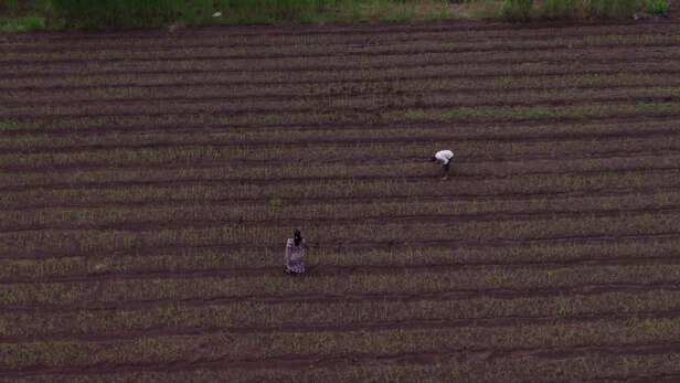 अब महिलाएं खुद बन रही हैं कमाई का सहारा
