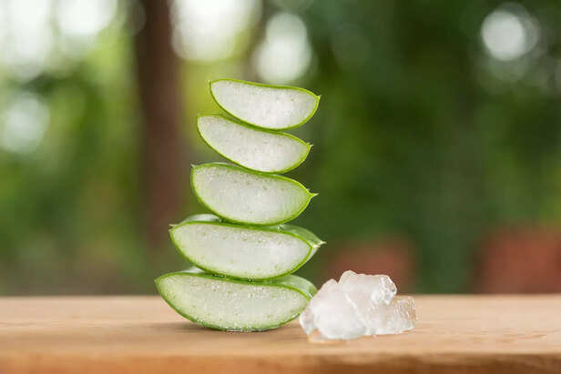 Aloe Vera Leaves for Summer Skin
