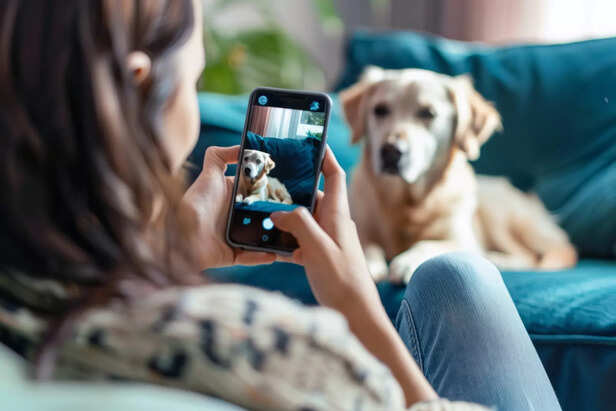 Pet Monitoring &amp; Safety Apps