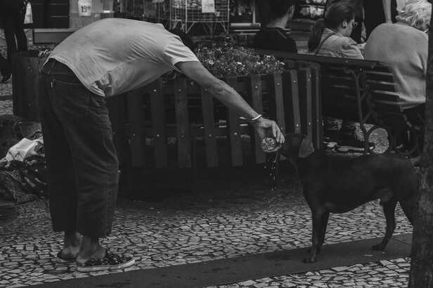 man and dog