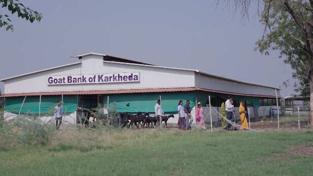 बैंक से जुड़ गईं ग्रामीण महिलाएँ