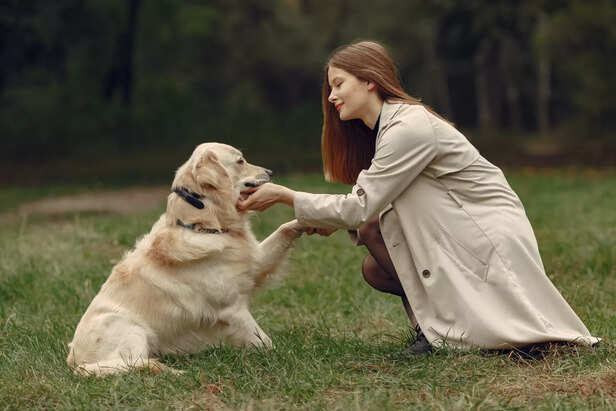 dogs are remarkably sensitive to human cues