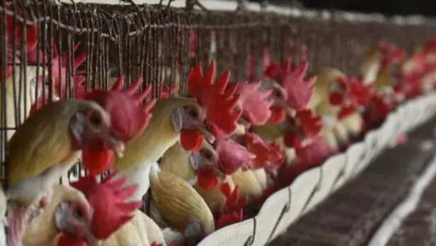 टीकाकरण का रखे ध्यान