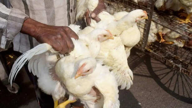 बिजनेस शुरू करने से पहले बाजार जांचे