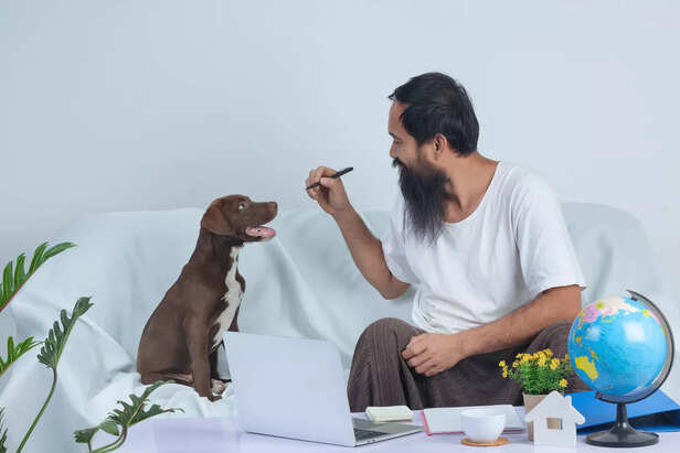 Inconsistency and Mixed Signals