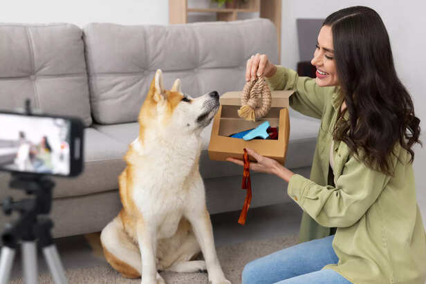 Natural Pack Instinct and Loyalty