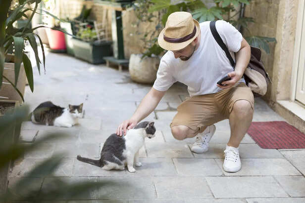 That silent companionship is a form of love