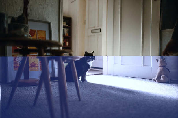 Energy Burst Before Bedtime