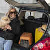 Choosing the Right Travel Carrier or Crate