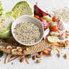 Food, Water, and Feeding Essentials