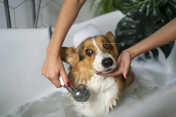 General Bathing Guidelines