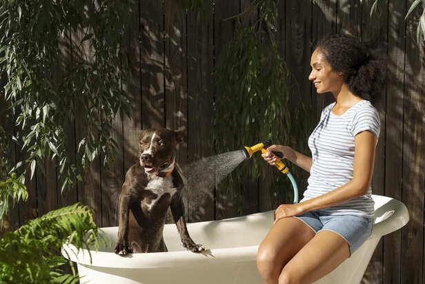 Signs Your Dog Needs a Bath