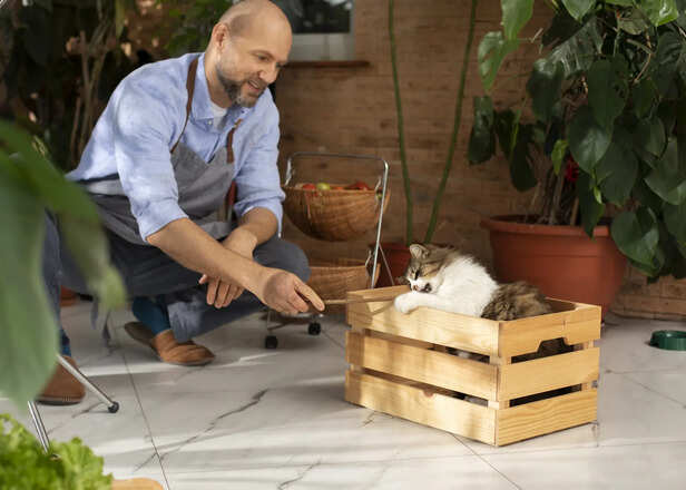 DIY Play Zones and Creative Environments