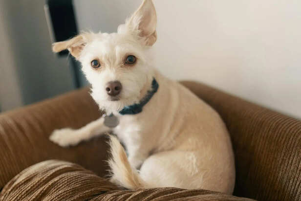 Consistency: The Shortcut to Faster Results