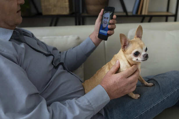 What Is Pet Microchipping and How Does It Actually Work?