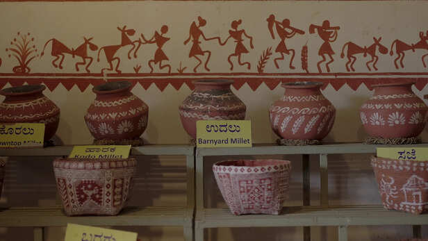 बीबी जान महिला समूह का बीज बैंक