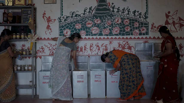 बीवी फातिमा Self Help Group का बीज बैंक