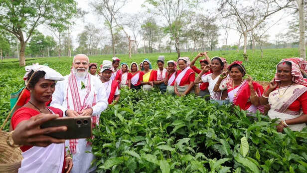 चाय श्रमिकों के साथ पीएम मोदी की सेल्फी