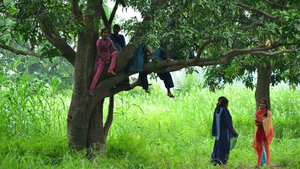 जितना हो, हरियाली के करीब रहें