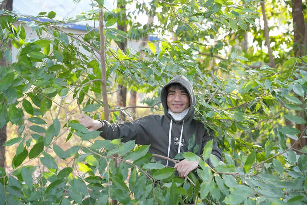 Person connecting with nature outdoors