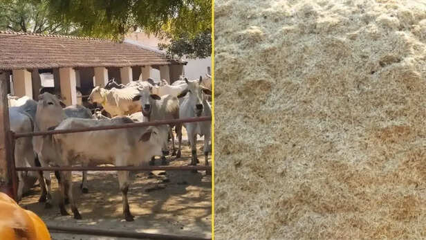 भंडारण सुनिश्चित कराने के लिए सरकार का विशेष जोर